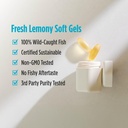 nordic-naturals-ultimate-omega-lemon-fla-510w8oKle4L.jpg