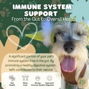 petfir-pack-kefir-for-dogs-and-cats-supp-5.jpg
