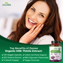 zazzee-usda-organic-milk-thistle-30-1-ex-71CVJxvmzPL.jpg