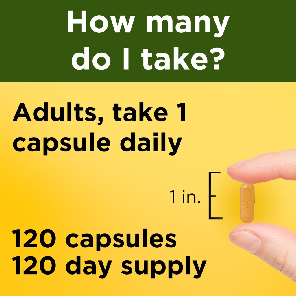 nature-made-turmeric-curcumin-500-mg-her-717cQQlpbVL.jpg