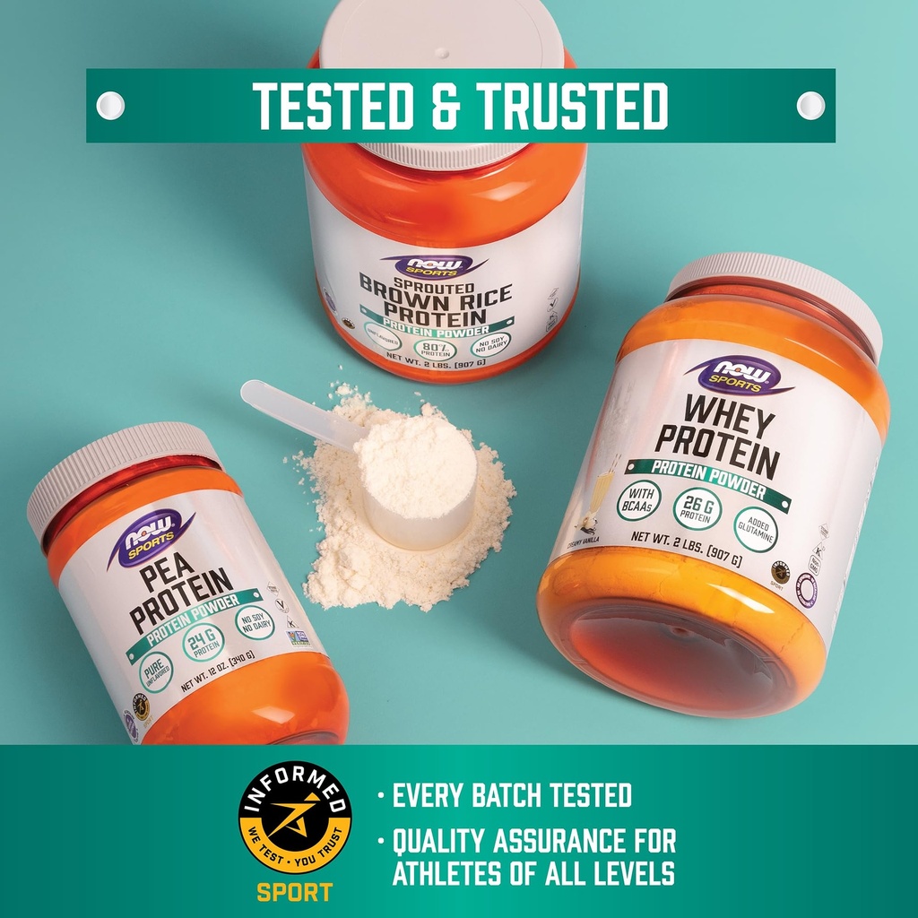 now-foods-whey-protein-isolate-protein-p-814w5Z2Hw2L.jpg