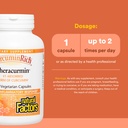 natural-factors-curcuminrich-theracurmin-71QPlkOoSZL.jpg