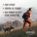roundhouse-provision-morning-kick-and-3--5.jpg