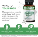 nutramedix-energy-support-bundle---inclu-3.jpg
