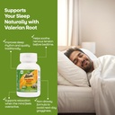 nature-s-way-alive-valerian-root-support-81+mWcJUxPL.jpg