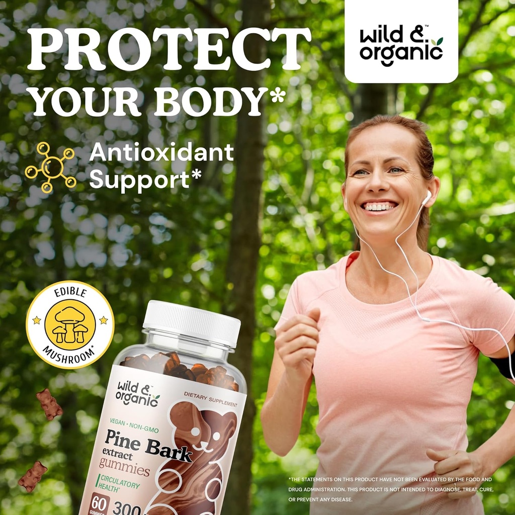 wild-organic-ceylon-cinnamon-gummies-pin-6.jpg