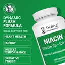 dr-berg-highly-potent-niacin-500-mg-now--71msuqjZEOL.jpg