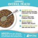 raw-paws-organic-kelp-powder-for-dogs-ca-4.jpg