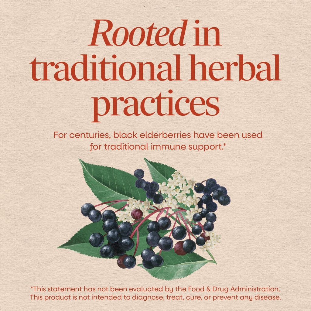 nature-s-way-black-elderberry-575-mg-100-916VA5usoZL.jpg