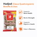 hadjod-whole-cissus-quadrangularis-stem--61d1sMt62xL.jpg