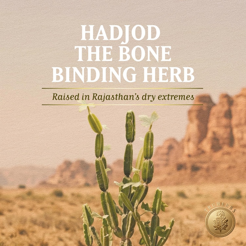 baidyanath-trusoul-hadjod-60-veg-capsule-71svkzhpVFL.jpg