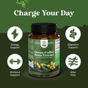 pure-green-coffee-bean-extract---super-e-3.jpg