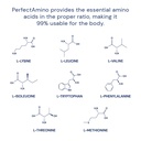 bodyhealth-perfectamino-150-ct-easy-to-s-51LCSyVryPL.jpg