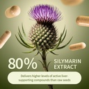 snap-supplements-milk-thistle-silymarin--81n19v-38CL.jpg