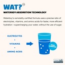 waterboy-weekend-recovery-3200mg-electro-6.jpg