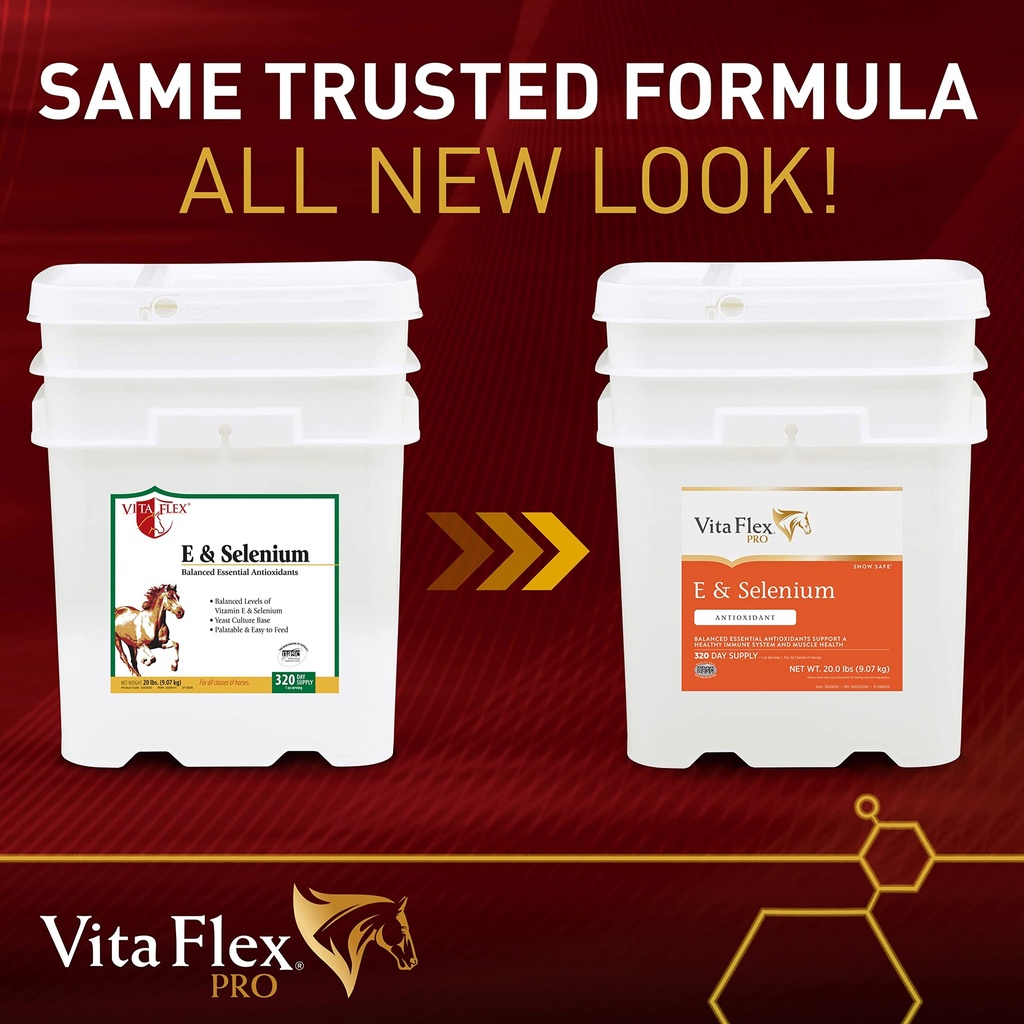 vita-flex-pro-e-and-selenium-supplement--8127RtAgm1L.jpg
