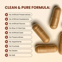 choq-action-20-energy-circulation-suppor-4.jpg