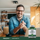 piping-rock-saw-palmetto-for-men-and-wom-6.jpg