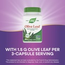 nature-s-way-olive-leaf-100-veg-capsules-61HsFmbbQnL.jpg