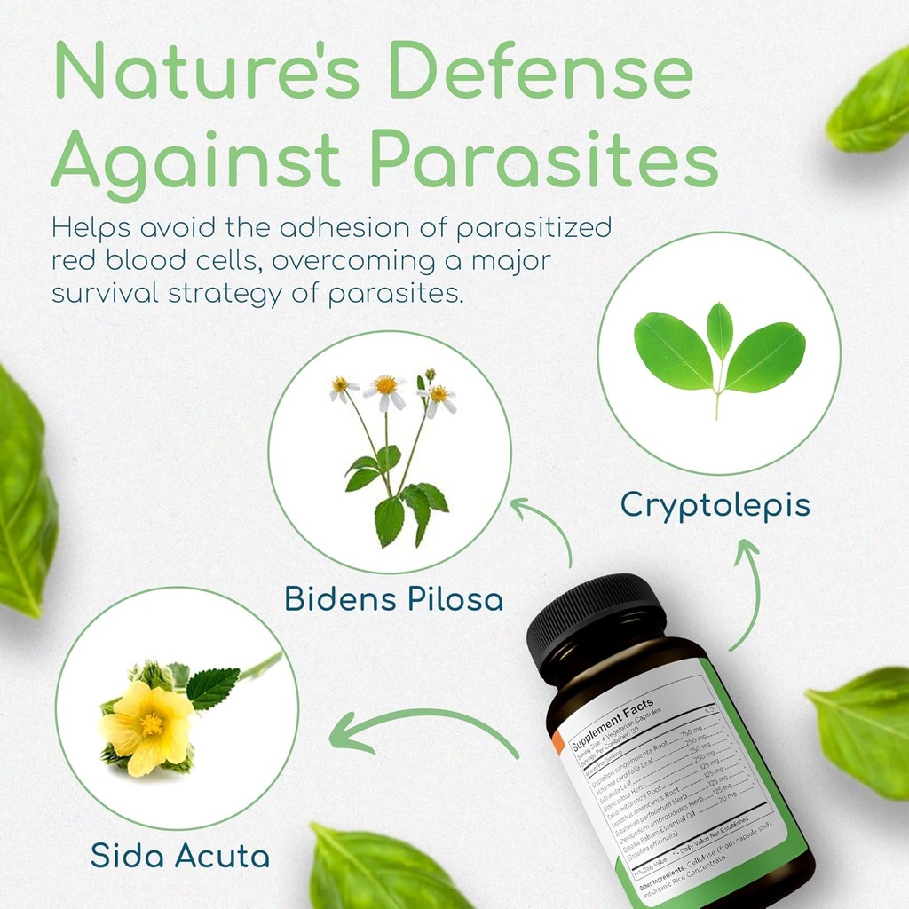 cryptolepis-synergy-immune-support-vitam-3.jpg