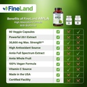 fineland-amla-indian-gooseberry-20x-full-5.jpg