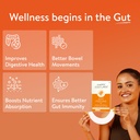 velbiom-happy-cultures-gut-feeling-diges-71OuE7XETeL.jpg