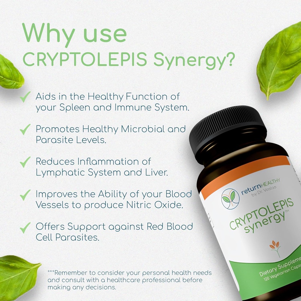 cryptolepis-synergy-immune-support-vitam-6.jpg