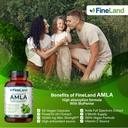 fineland-amla-indian-gooseberry-20x-full-6.jpg