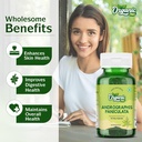organic-zing-andrographolide-supplement--5.jpg
