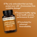 dr-mercola-liposomal-carnosine-250mg-per-4.jpg