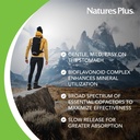 naturesplus-hema-plex-iron---30-sustaine-3.jpg