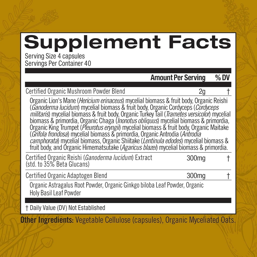 om-mushroom-superfood-capsule-bundle-mas-6.jpg