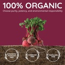 organic-beet-root-capsules-1300mg-superf-3.jpg