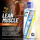 ronnie-coleman-signature-series-l-carnit-5.jpg