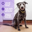 pet-probiotics-for-dogs-dog-probiotics-a-2.jpg