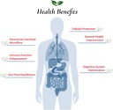 foods-for-gut-lactobacillus-lactis-probi-4.jpg
