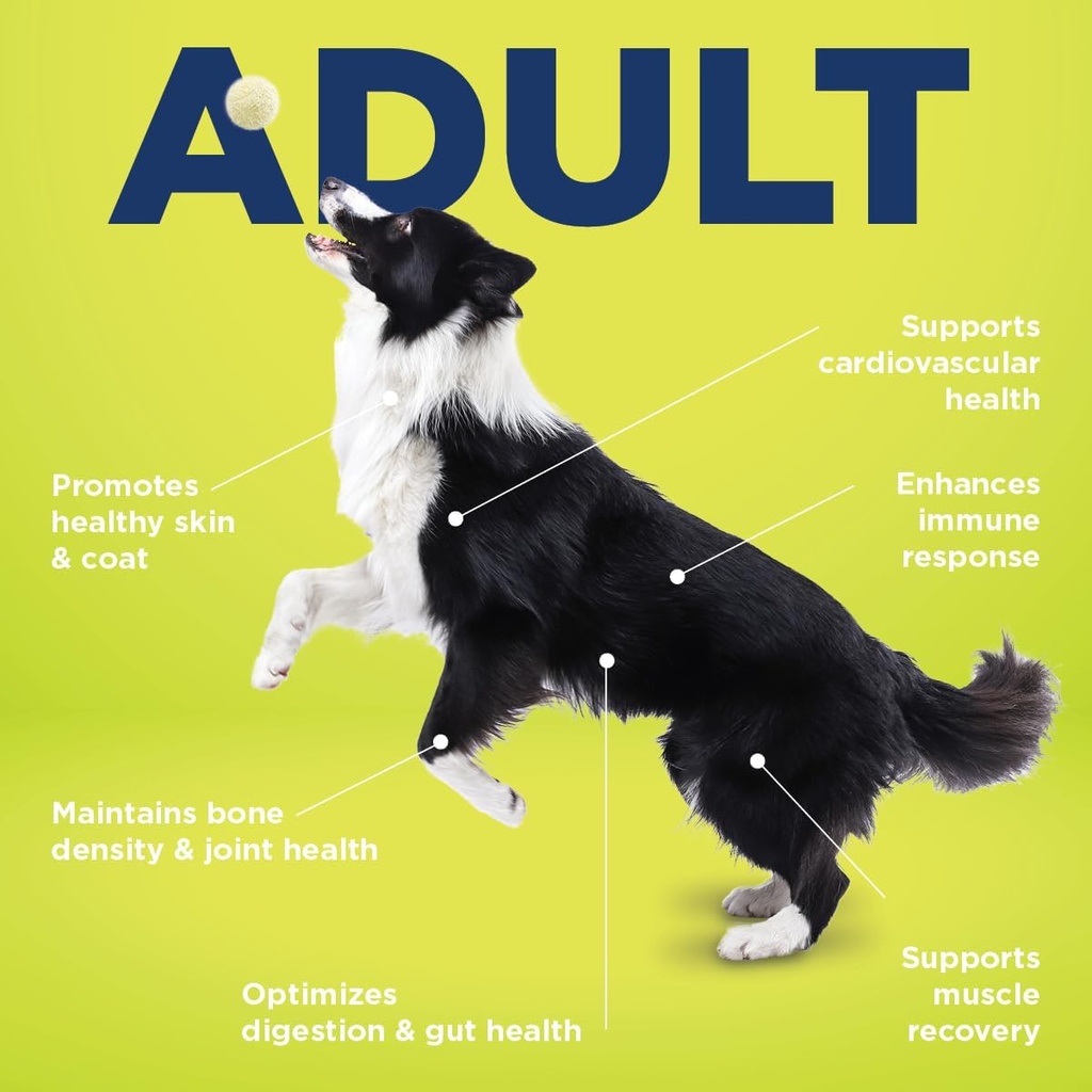 vetericyn-all-in-1-multifunctional-dog-s-5.jpg