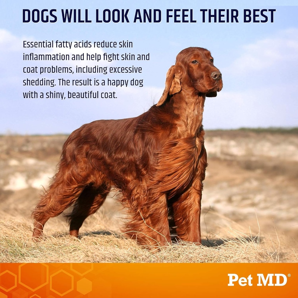 pet-md-salmon-omega-bites-for-dogs---ski-2.jpg