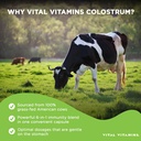 vital-vitamins-colostrum-capsules-with-v-4.jpg