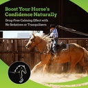 synchill-af-calming-gel-for-nervous-hors-4.jpg