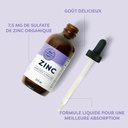 vimergy-zinc-115-ml-and-zinc-refill-240--3.jpg