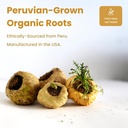 nutrachamps-usda-organic-maca-root-capsu-5.jpg