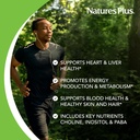 natures-plus-super-b50-90-vegetarian-cap-4.jpg
