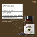 mucuna-120-tablets-usda-organic-mucuna-p-4.jpg