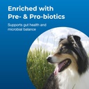 petag-dyne-pro-hg-healthy-gut-for-dogs-p-4.jpg