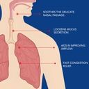 noveha-nasal-spray--1-povidone-iodine-sp-3.jpg