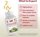 andrew-lessman-high-potency-b-complex-18-4.jpg