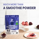 wild-bilberry-extract-organic-blueberry--4.jpg
