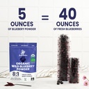 wild-bilberry-extract-organic-blueberry--6.jpg