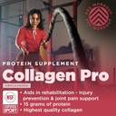 gnarly-nutrition-collagen-peptides-colla-2.jpg